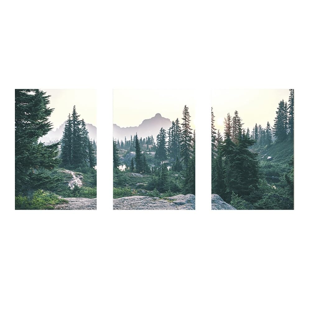 SOBMQ Pictures-Abstract Forest Landscape Cloud and Mist Canvas Posters Nordic Nature Landscape Painting for Modern Living Office Room Wall Art Decor-50 * 60cm-3PCS (No Frame)