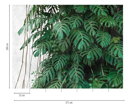 Livingwalls Jungle The Wall Non-Woven Wallpaper 3.71 m x 2.80 m Green Grey Made in Germany 382411 382411, 280 x 371 cm - Image 2