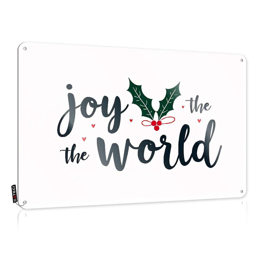 Fzfn Colour Joy To The World. Quality Necessities - Tin Wall Decor Fun Hanging Wall Decor(30X40cm)