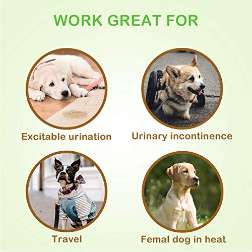 Pet Soft Doggie Diapers - Disposable Dog Diapers For Female In Heat Period Or Urine Incontinence, Puppy & Cat Diapers Ultra Absorbent 12Pcs Xxsmall #TOP5