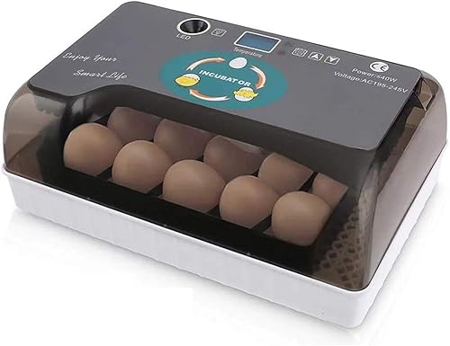 Incubadora digital de 12 huevos Control automático de temperatura de torneado de huevos LED Candler aves de corral criador de pollo pollo pato