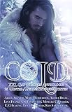  COLD: XXL Gay Romance Anthologie - 25 Winter-/Weihnachtsgeschichten (German Edition)