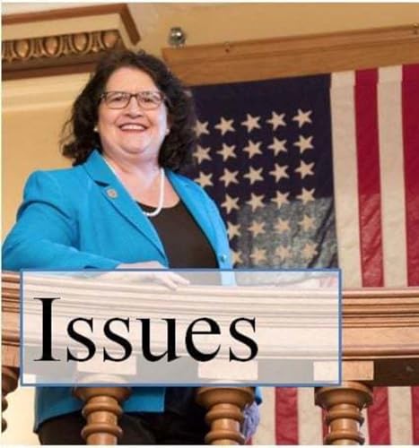 The Afternoon Addiction with Garret Lewis- Garret Talks About AZ Democrat That Wants Sexually Explicit Material In Classrooms Podcast Por  arte de portada