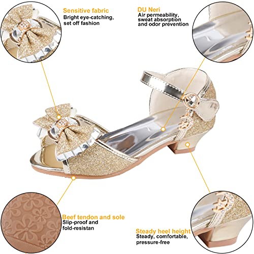 Image of Amtidy Girls Glitter Bow Low Heel Princess Shoes, Mary Jane Ankle Strap Dress Pumps for Wedding Birthday Party Performance