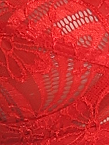 Image of Clovia Push-Up Bra (BR0224P04 Red 38B)