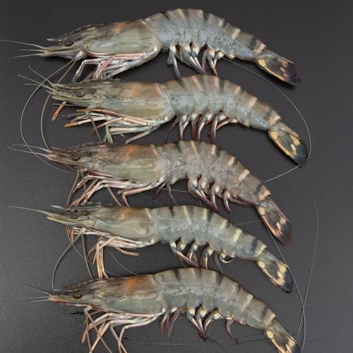 Lulu Fresh Black Tiger Prawns 500 g Approx.