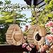 Butterfly House Butterfly Habitat Garden - Wooden Butterfies Houses with Feeder Hanging Garden Decoration Natural Nesting Box for Butterflies Bugs Moths & Lacewings