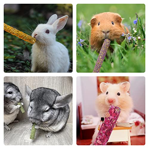 Pstardmoon Rabbit Chew Toys For Teeth, Timothy Grass Carrot Sticks For Guinea Pig Hamster Chinchilla Squirrel Bunny Small Rodent Animals (20 Pcs) #TOP5