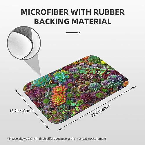Tapis de bain en terre de diatomée anti humidité VACSAX - 3
