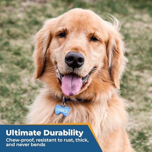 image for GoTags Dog Tags, Personalized Engraved Dog and Cat ID Tags for Pets, C