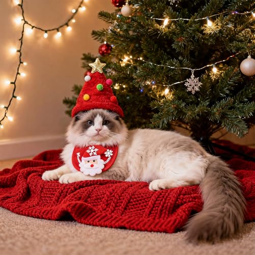 Disfraz de Navidad para Perro con Sombrero y Bandana Roja Talla S miniatura 3