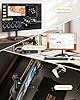 monTEK Stable Single Monitor Stand, Freestanding Monitor Arm for 17-32 inch & 10KG Capacity Screen, Adjustable Height Desk Mount with Swivel and Tilt, VESA 75x75/ 100x100mm #1