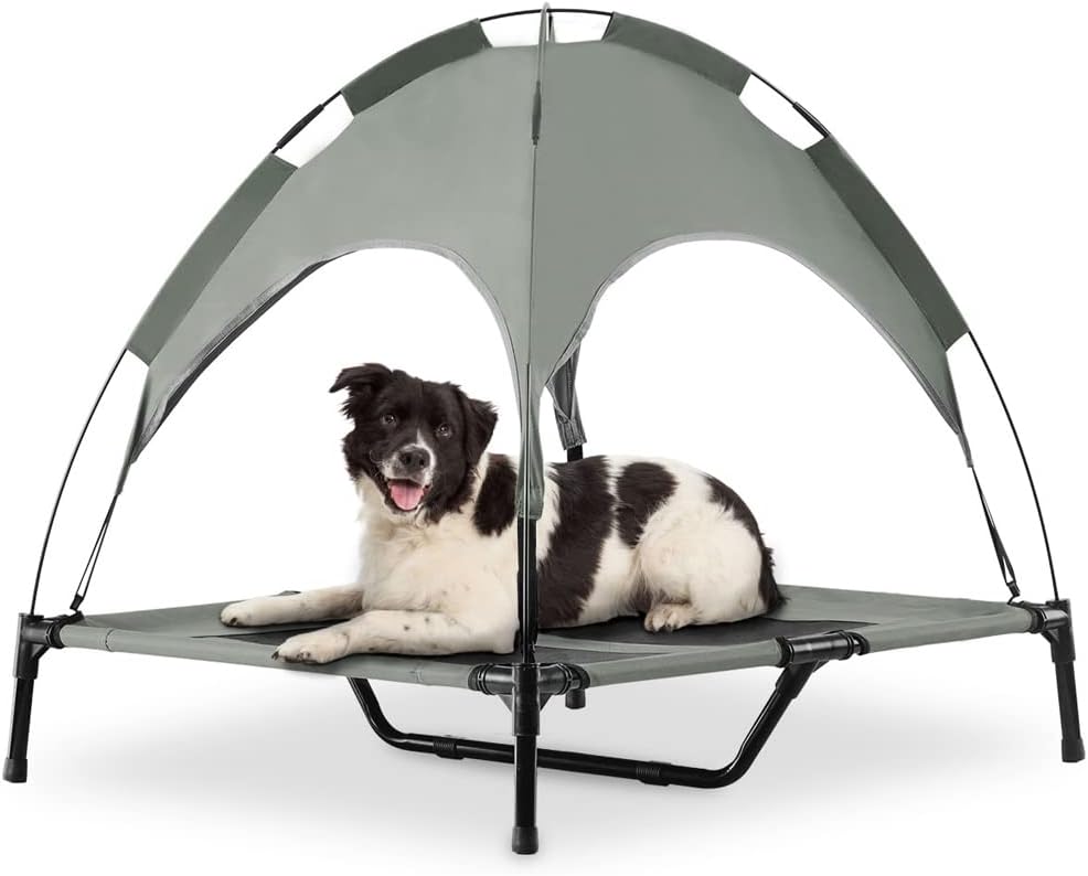raised dog bed with canopy
