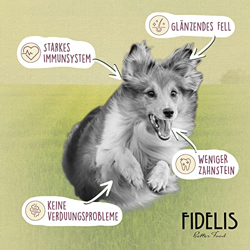 Fidelis - Getrocknetes Lamm-Menü für Hunde 1kg - Premium Hundefutter trocken mit 80% Fleischanteil, Gemüse & Obst - Proteinhaltiges Trockenfutter Hund schonend getrocknet - Zucker- & Getreidefrei