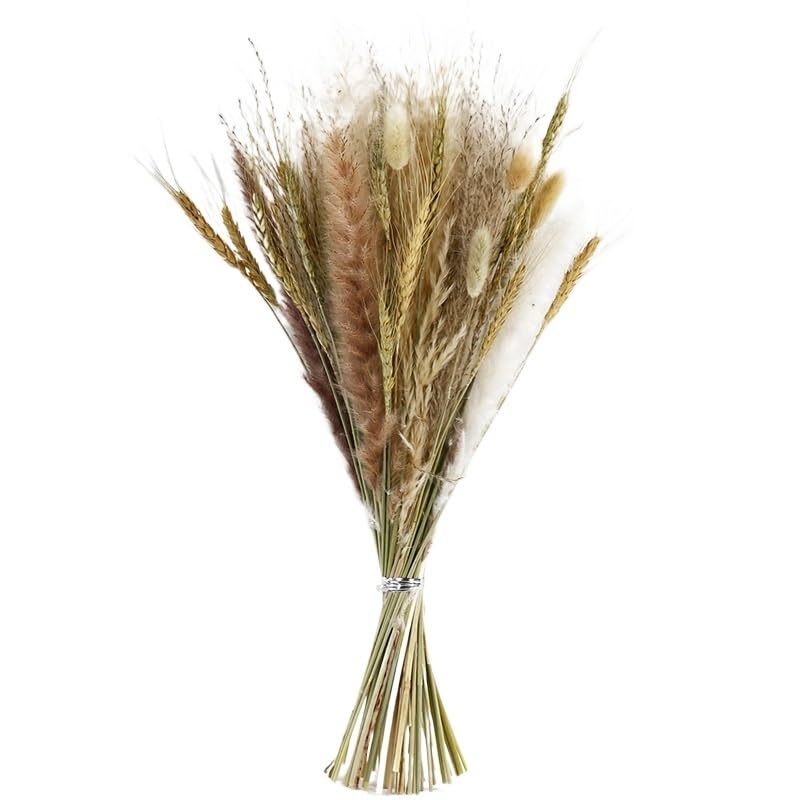Pampas Grass Boho Decor Natural Dried Pampas Grass Fluffy Rabbit miniatura 1