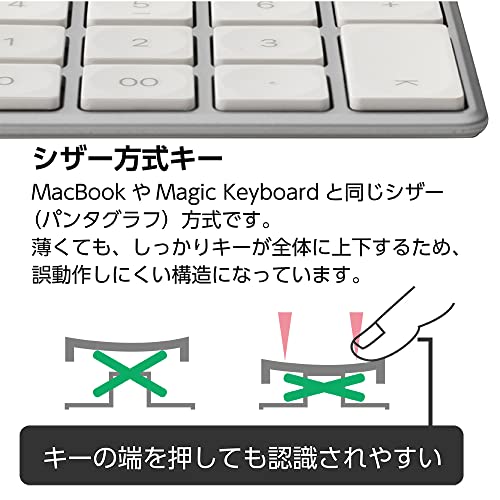 ナカバヤシ(Nakabayashi) Digio2 USB テンキーボード 有線 Mac 用 薄型 シルバーホワイト Z8780