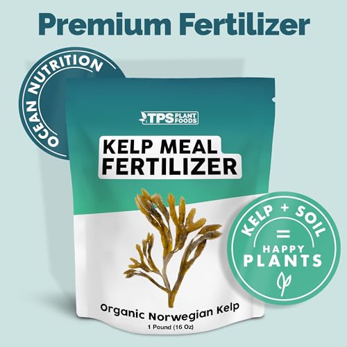 Fertilizante granular Kelp Meal 16 oz para plantas miniatura 2