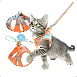 Coleira Peitoral com Guia para Gatos e Cachorros – Ajustável, Confortável e Respirável – Segurança e Liberdade em Passeios (Tamanhos PP/P/M/G) (Laranja/Azul, P)