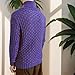 DGHM-JLMY Mens Shawl Collar Sweaters Slim Fit Casual Button Cable Knit Sweaters Lightweight Pullover Sweater (Purple,Medium)