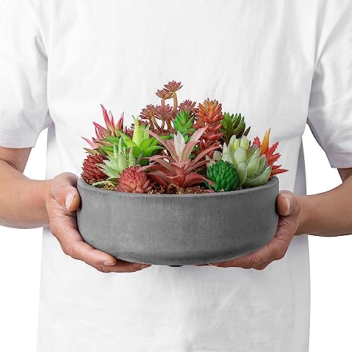Mygift 8 Inch Round Gray Unglazed Cement Plant Pot With Drainage Hole, Decorative Indoor Succulent Cactus Planter Vase Bowl - Plants Not Included #TOP5
