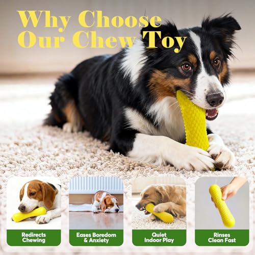 Image of Kimee Natural Rubber Dog Chew Toys Tough Dog Toys for Aggressive Chewers