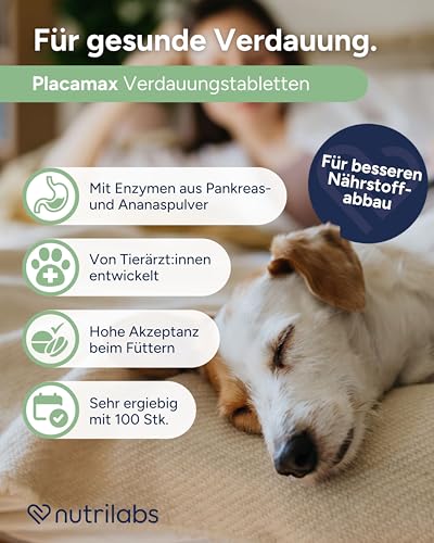 NutriLabs Placamax® Tabletten für Hunde 100 Stk. - Tabletten für Verdauung mit Ananaspulver, Vitamine, Pankreaspulver etc. - Gesundheitsprodukte für Hunde - Nahrungsergänzungsmittel Hund
