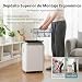 Imagen de Megonia Deshumidificador Eléctrico Comerciale con Bomba: 80L