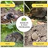 Albagarden - Repellente Talpe - Scaccia Talpe Vegetale Olfattivo per Allontanare da Orto E Giardino - No Trappola Antitalpa Granulare X 1 Litro #4