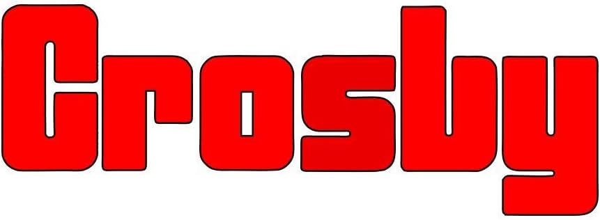 G-491G 14" GALV Derrick Hoist Block 12 TON WLL (2021163)