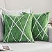 MIULEE Copricuscini 2 Pezzi Stampata a Raggi Federe per Cuscini Riutilizzato Quadrato Soggiorno Interno Divano Giardino Lavabile per Ufficio Classico Resistente Salotto 45X45 CM Verde Erba