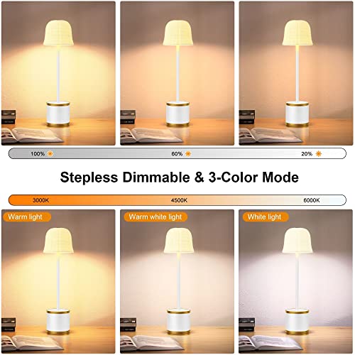 Shangcai Cordless Rechargeable Table Light, 5000Mah Battery Operated Led Portable Desk Lamps 3 Color Stepless Dimmable Up To 48H Usage Night Light For Outdoor Garden Patio Dining Restaurant Home-White #TOP1