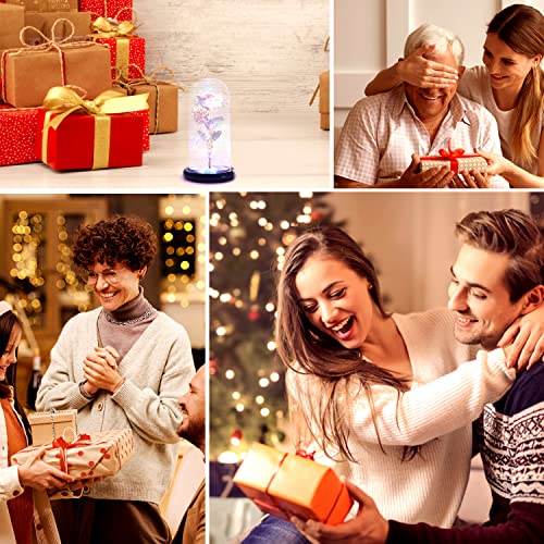 Nvrgiup For Mom, Women Birthday Gifts For Her, Mother’s Day Rose Gifts From Daughter Son, Red Colorful Artificial Rose Flower Gift In A Glass Dome For Wife, Girlfriend, Daughter, Grandma #TOP5