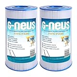 G-NEUS Pool & Spa Filter | Replaces Pleaco PA90, Hayward CX900RE, C900, C9002, Porpoise PP-B6, Unicel C-8409, FC-1292 | 90 Sq Ft Coverage (x2) | High Performance Replacement Cartridge, 2 Pack