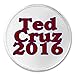TED Cruz 2016 Sew-On/Iron-On Patch (3 Inch Round, White)