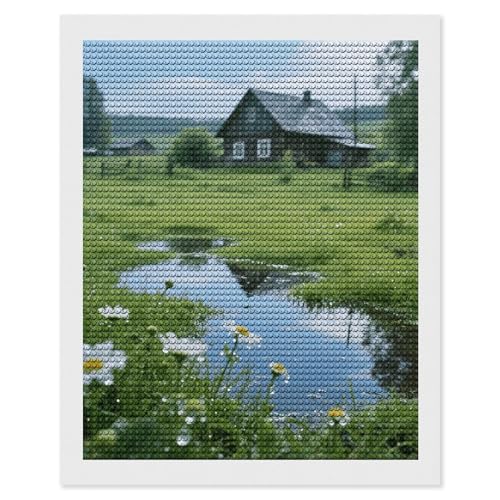 Peinture diamant 5D paysage broderie diamant kit complet adulte