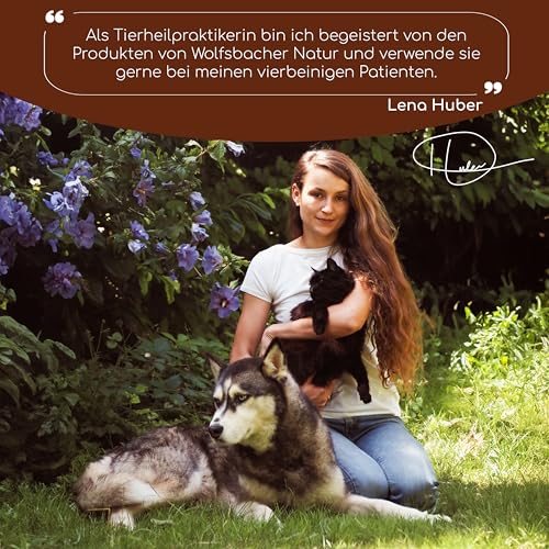 Wolfsbacher Ulmenrinde Pulver für Hunde und Katzen [60g] - Slippery Elm Bark - Amerikanische Ulmenrinde, Unterstützt Magen und Darm auf natürliche Weise