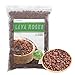 CARURBODY Red Lava Rocks for Plants -100% Pure Volcanic Rock No Dyes or Chemicals-Best Lava Stones Top Dressing for Cacti Succulents Plants,Bonsai