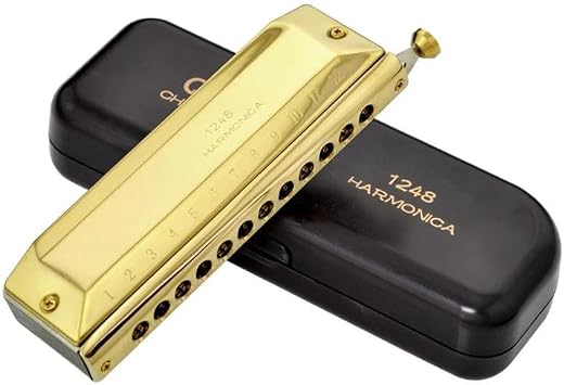 Professional Harmonica 12 Hole 48 Note Mouth Organ Harp Musical Instrument Chromatic Harmonica Professional InstrumentGold