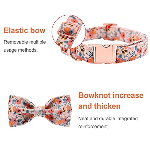 Collares Y Correas, Pet Products Imagen adicional