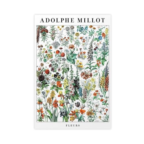Poster Fleurs Adolphe Millot toile décoration murale salon et chambre