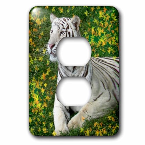 Cache-prise tigre blanc pour masquer les prises murales usées - 2
