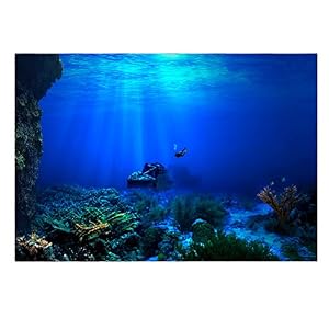 FILFEEL 3D Aquarium-Hintergrund Unterwasserwelt 76x46cm