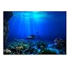 FILFEEL Aquarium Background Fish Decorations Pictures 3D Effect PVC Adhesive Poster Underwater World Backdrop Decoration Paper Cling Decals Sticker (122 x 50cm)