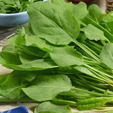 Suffolk Herbs French Sorrel Seeds Cover