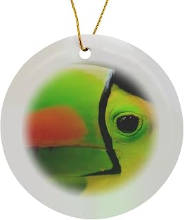 Circle Porcelain Ornament - Keel-Billed Toucan, National Bird, Belize Zoo Near Belize City, Belize Belize