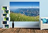 Premium Foto-Tapete Gardasee Blick Monte Baldo (versch. Größen) (Size M | 279 x 186 cm) Design-Tapete, Wand-Tapete, Wand-Dekoration, Photo-Tapete, Markenqualität von ERFURT