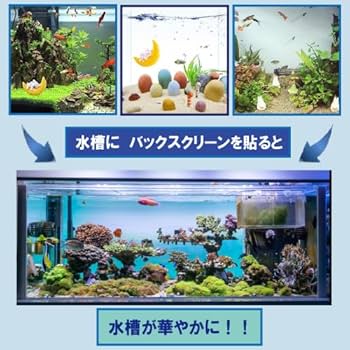 水槽にマイケル 61qsD5LokzL._UF350,350_QL50_.jpg