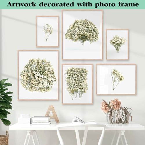 100 Stück Schleierkraut Getrocknet, Trockenblumen Schleierkraut, Trockenblumen zum Basteln, Getrocknete Blumen Klein für DIY Fotorahmen, Lesezeichen, Grußkarten (White)