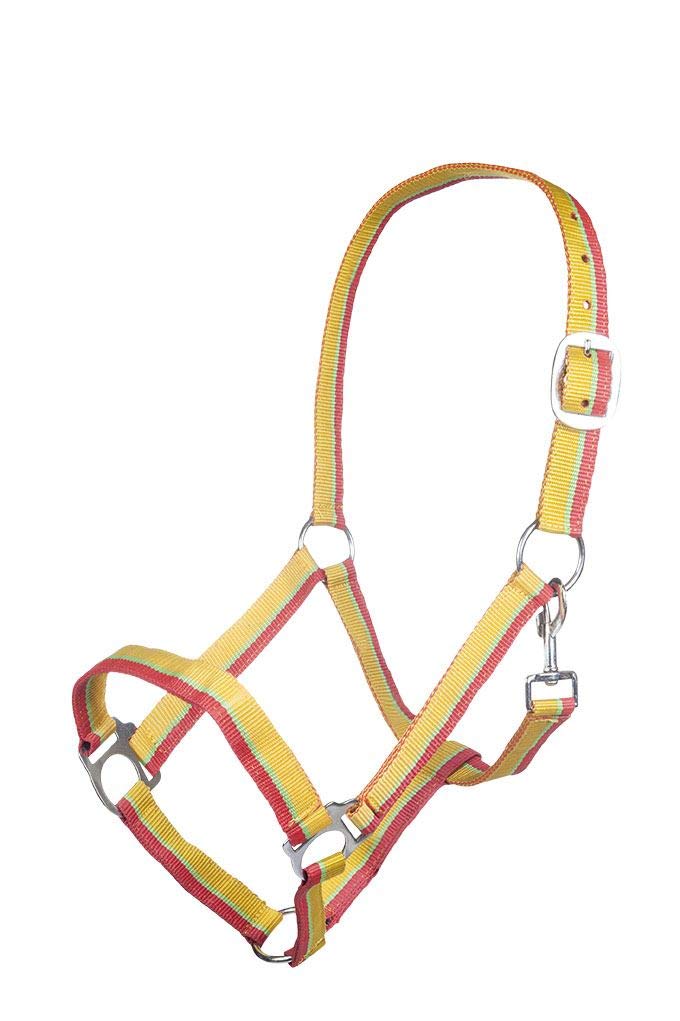 Capa HKM Budapest verde para el cuidado diario del Warmblut en invierno