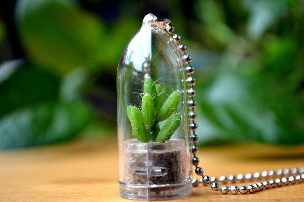 Coral Cactus Plant Necklace. Gifts for Women, Gifts for Men. Nature Gift.